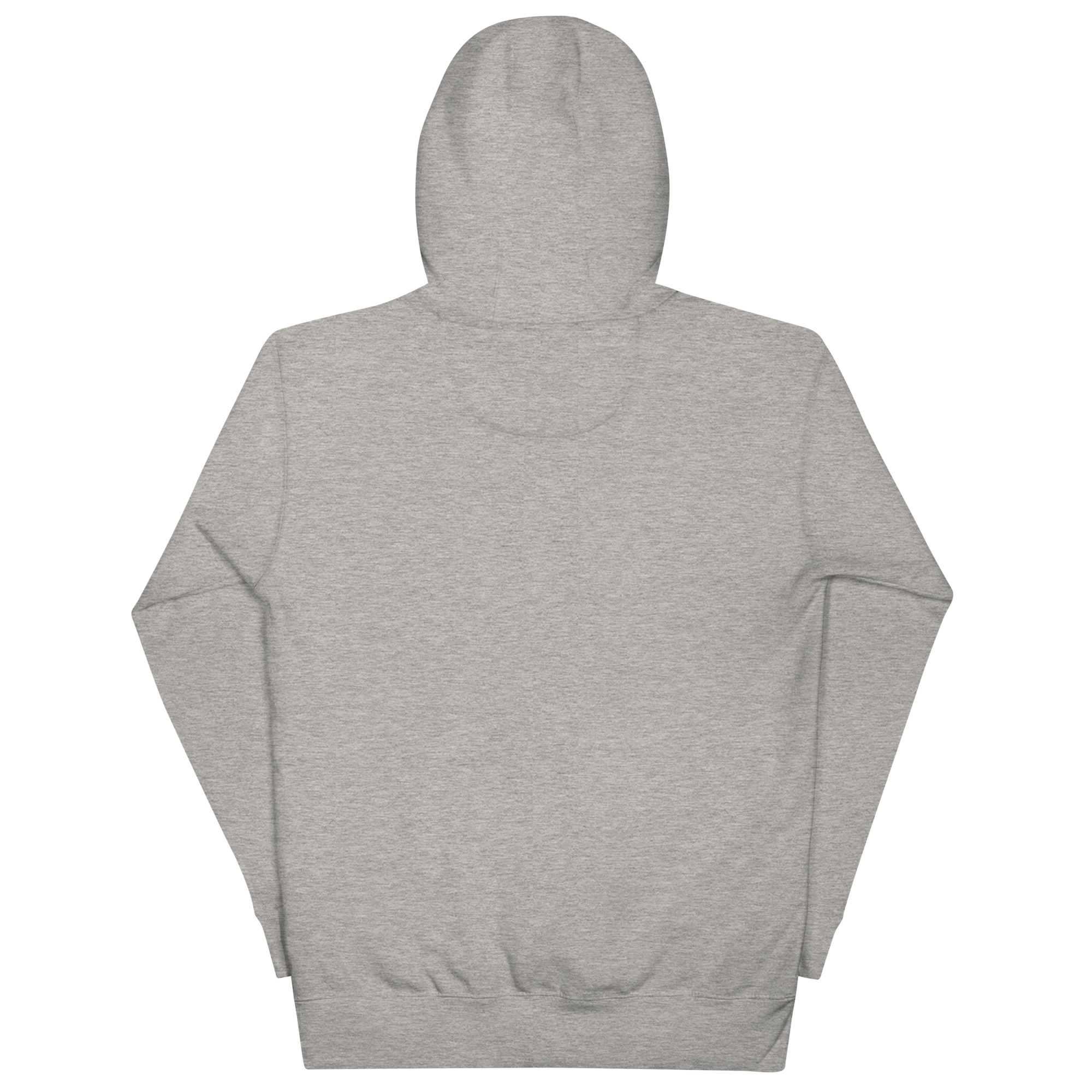 unisex-premium-hoodie-carbon-grey-back-688270771134c.jpg