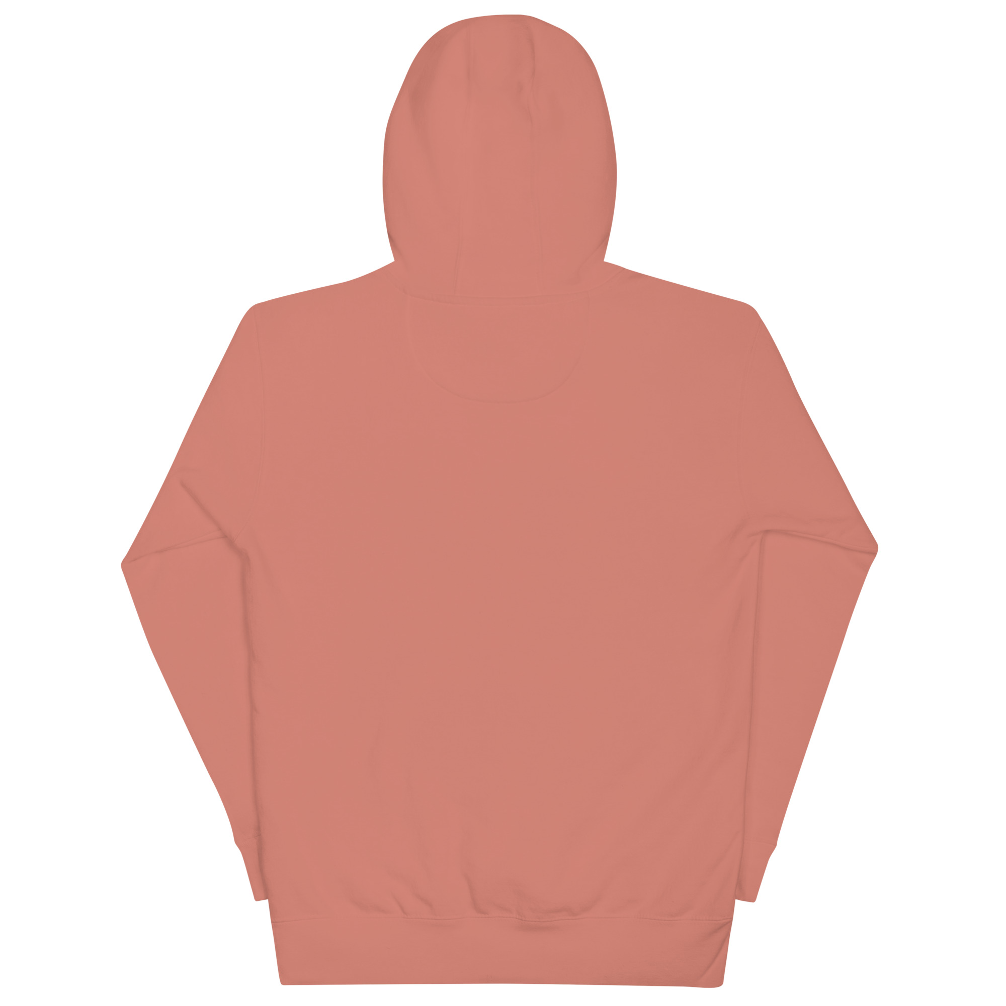 unisex-premium-hoodie-dusty-rose-back-68827077104c3.jpg