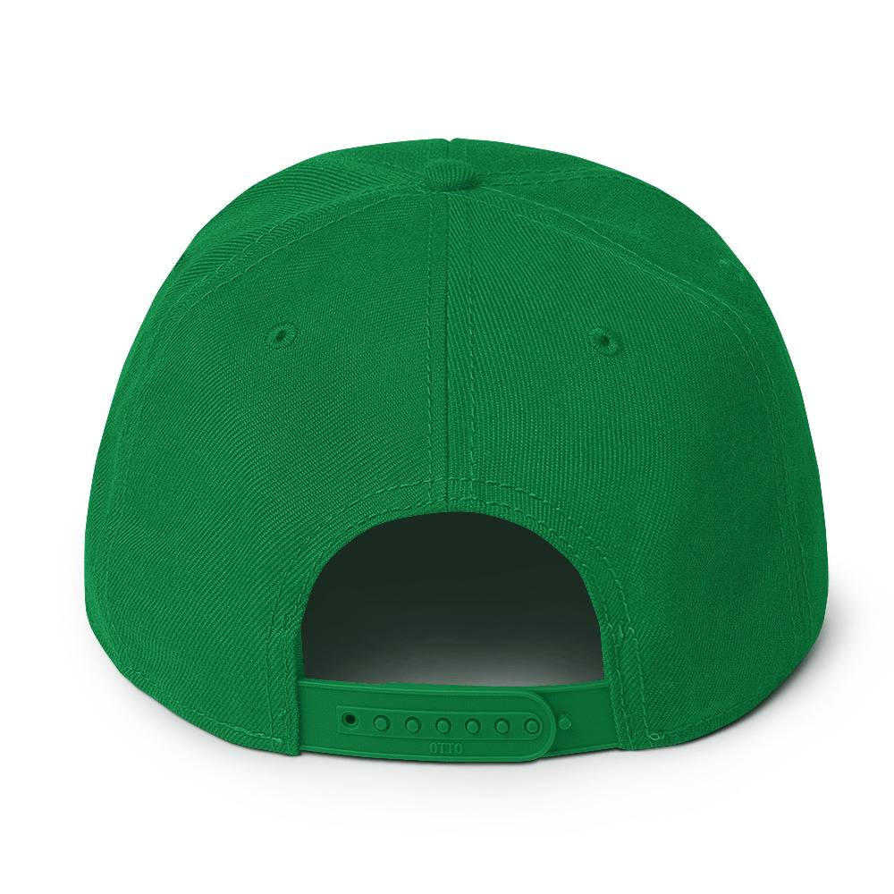 snapback-kelly-green-back-689118556b0e3.jpg