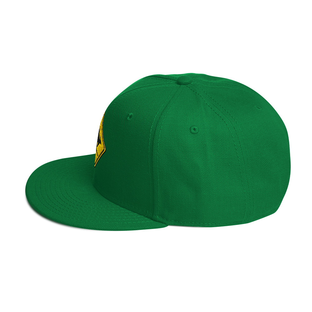 snapback-kelly-green-left-side-689118556b355.jpg