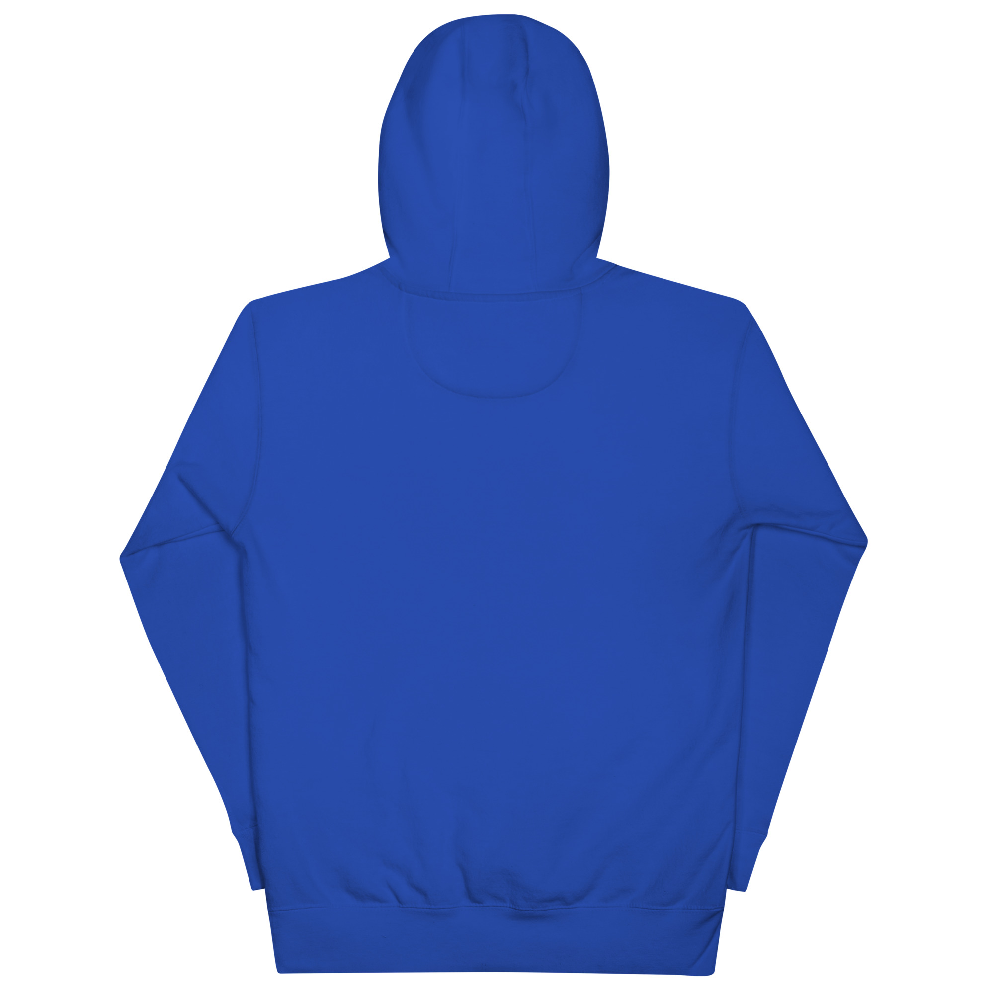 unisex-premium-hoodie-team-royal-back-688faf62183c7.jpg